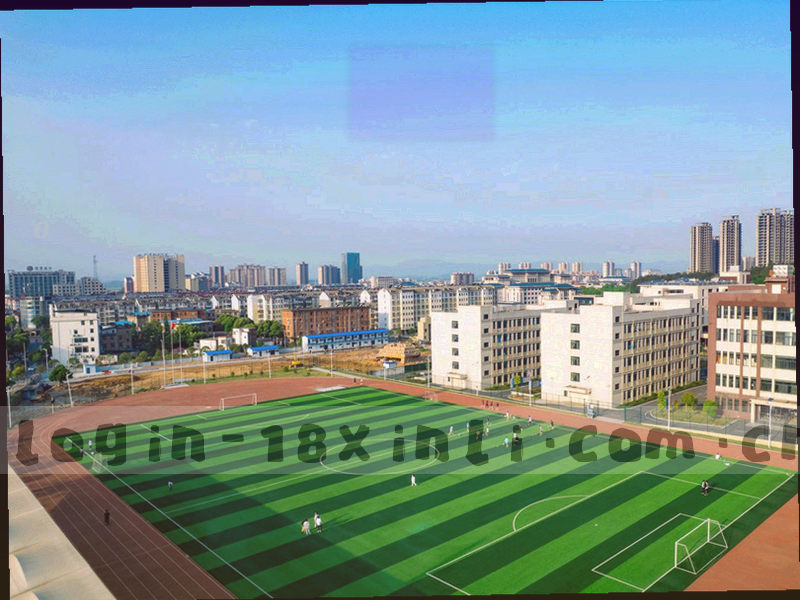 现代办公楼外观，用于联系地址与商务合作示意